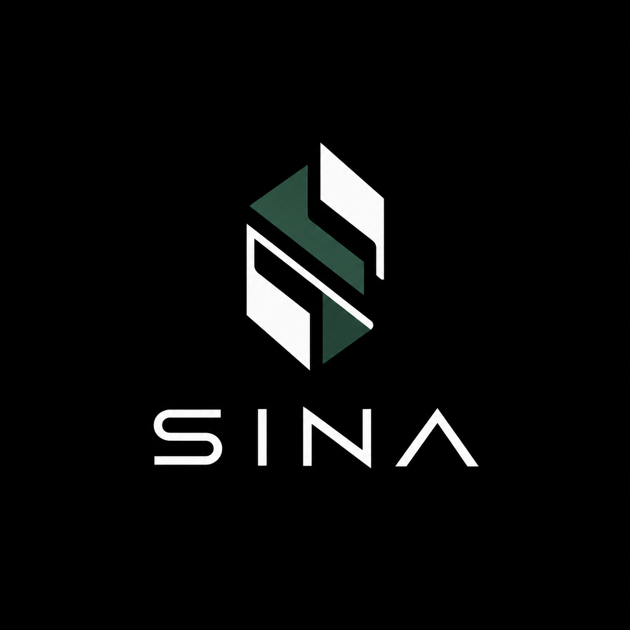 Sina Dubai Ventures logo